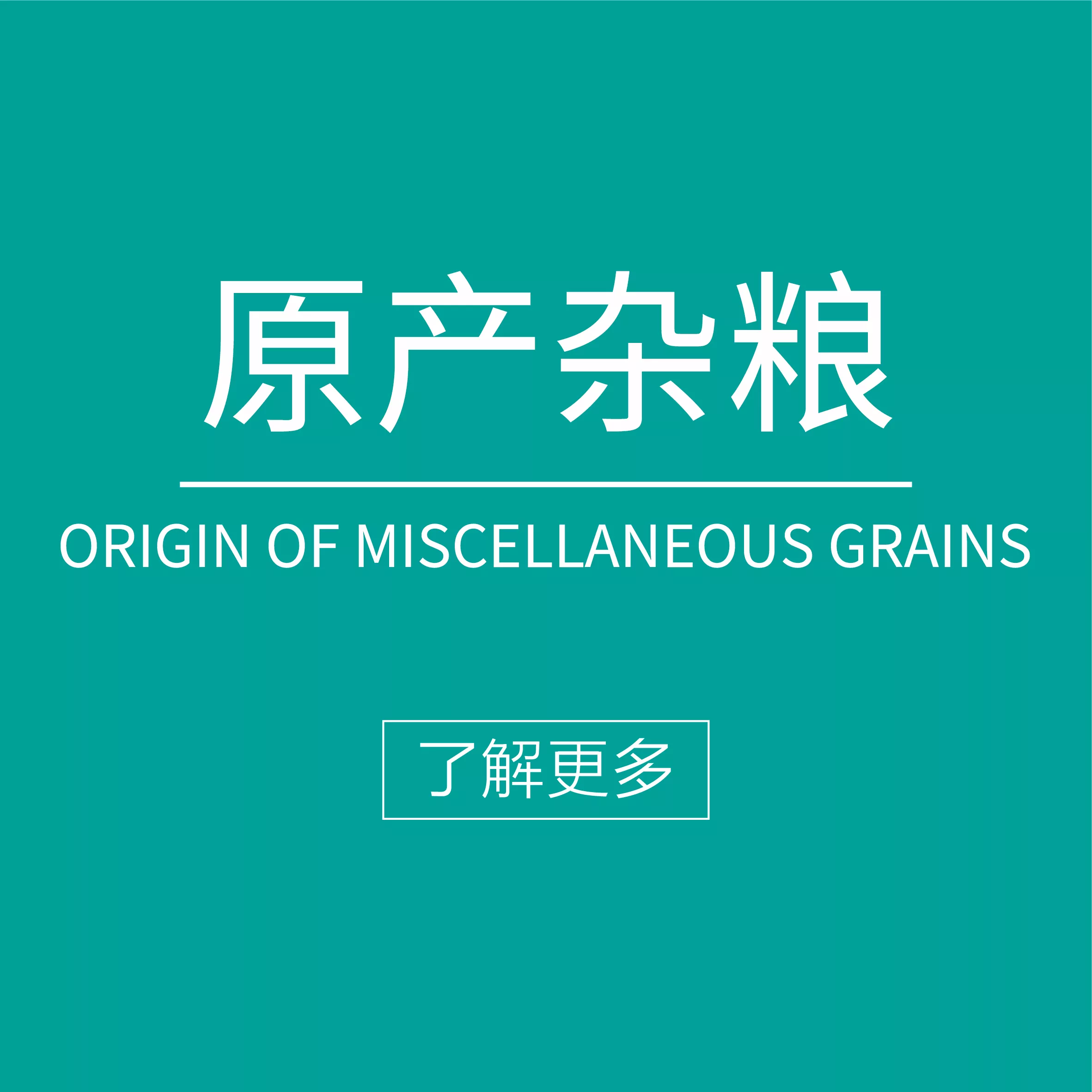 Ӯ���(�й���)���� -�ֻ���APP����վ